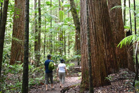 All-Inclusive Fraser Island Day Tour - Accommodation Nelson Bay 6