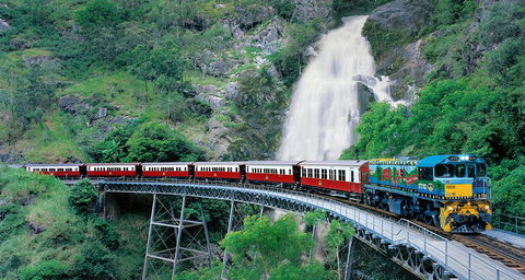 Classic Kuranda By Skyrail And Scenic Railway Including Rainforestation, Koala And Wildlife Park And Pamagirri Aboriginal Experi - Accommodation Nelson Bay 0