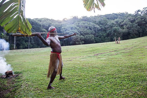 Classic Kuranda By Skyrail And Scenic Railway Including Rainforestation, Koala And Wildlife Park And Pamagirri Aboriginal Experi - Accommodation Nelson Bay 5