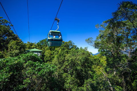 Classic Kuranda By Skyrail And Scenic Railway Including Rainforestation, Koala And Wildlife Park And Pamagirri Aboriginal Experi - Accommodation Nelson Bay 6