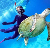 Great Barrier Reef Day Cruise from Cairns Including Snorkeling and Marine Biologist Presentation - Accommodation Nelson Bay