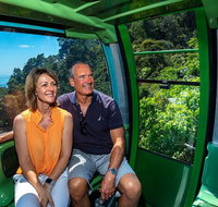 Skyrail Rainforest Cableway Day Trip from Cairns - Accommodation Nelson Bay