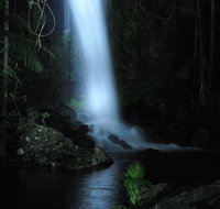 Mt Tamborine National Park 4WD Nocturnal Rainforest and Glow Worm Tour - Accommodation Nelson Bay