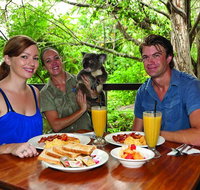 Breakfast with the Koalas at Hartley's Crocodile Park from Cairns or Palm Cove - Accommodation Nelson Bay