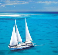 Ocean Spirit Michaelmas Cay Dive and Snorkel Cruise from Cairns - Accommodation Nelson Bay