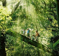 Gold Coast Lamington National Park and Tamborine Mountain 4WD Ecotour - Accommodation Nelson Bay