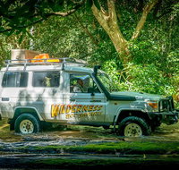 Full Day Rainforest 4WD Tour from Cairns - Accommodation Nelson Bay