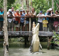 Hartley's Crocodile Adventure Half-Day Tour - Accommodation Nelson Bay