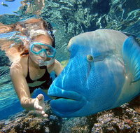 Cairns 2-Day Combo Great Barrier Reef Cruise and Kuranda - Accommodation Nelson Bay