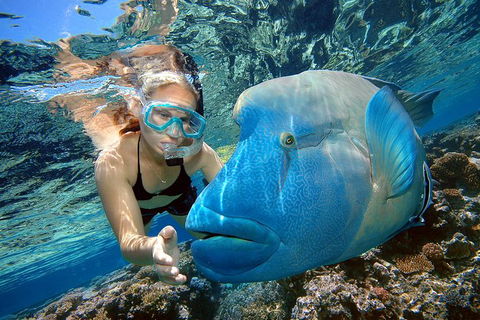 Cairns 2-Day Combo: Great Barrier Reef Cruise And Kuranda - Accommodation Nelson Bay 0