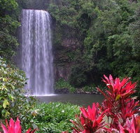 The Original Day Tour to Paronella Park Lake Barrine and Millaa Millaa Falls - Accommodation Nelson Bay
