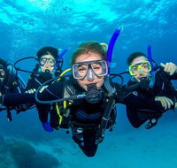 Great Barrier Reef Diving and Snorkeling Cruise from Cairns - Accommodation Nelson Bay