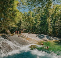 Atherton Tablelands Waterfalls and Rainforest Day Tour Departing Cairns - Accommodation Nelson Bay