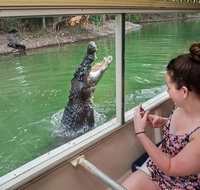 Hartley's Crocodile Adventures Wildlife Encounter Day Trip from Cairns - Accommodation Nelson Bay