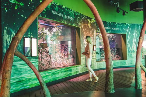 Cairns Aquarium Admission Ticket - Accommodation Nelson Bay 5