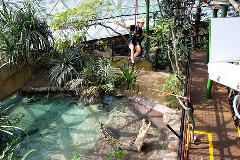 Cairns ZOOM And Wildlife Dome - Accommodation Nelson Bay 1