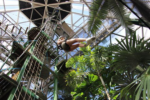 Cairns ZOOM And Wildlife Dome - Accommodation Nelson Bay 5