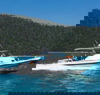 Private Standard Charter Experience in Whitsundays - Accommodation Nelson Bay