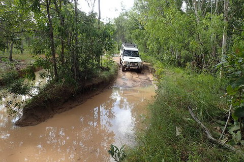 Cairns 4WD Waterfall And Rainforest Tour Including Kuranda Scenic Railway - Accommodation Nelson Bay 3