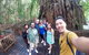 Cairns 4WD Waterfall And Rainforest Tour Including Kuranda Scenic Railway - thumb 6