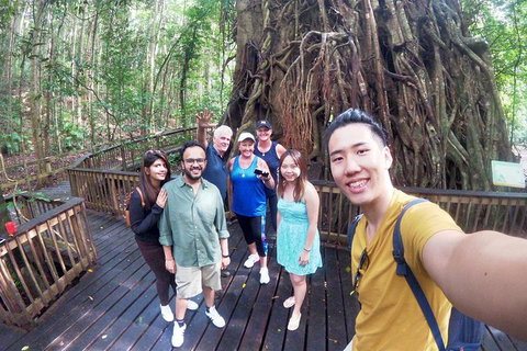 Cairns 4WD Waterfall And Rainforest Tour Including Kuranda Scenic Railway - Accommodation Nelson Bay 6