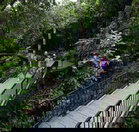 4-Day Cairns with Great Barrier Reef and Daintree Rainforest - Accommodation Nelson Bay