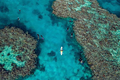 Full Day Snorkel In The Great Barrier Reef - Accommodation Nelson Bay 1