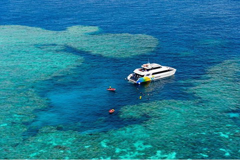 Full Day Snorkel In The Great Barrier Reef - Accommodation Nelson Bay 6