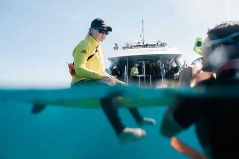 Full Day Snorkel In The Great Barrier Reef - Accommodation Nelson Bay 7