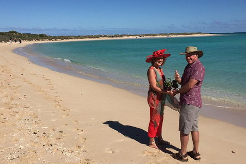 Elope In Paradise - Weddings At Mission Beach - Accommodation Nelson Bay 6