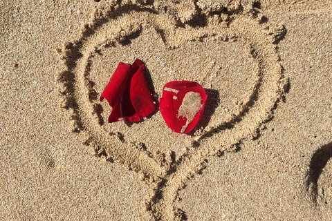 Elope In Paradise - Weddings At Mission Beach - Accommodation Nelson Bay 3