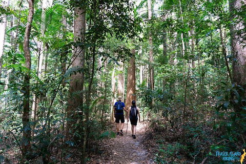 Pack-free Camping: Blue Lakes Eco Hike - 3 Days - Accommodation Nelson Bay 1