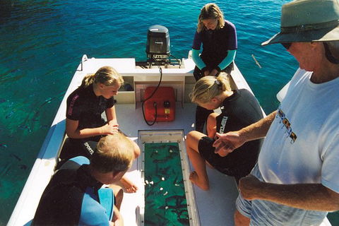 Great Barrier Reef Luxury Expedition Cruise Cabin Booking 7 Days 6 Night - Accommodation Nelson Bay 1