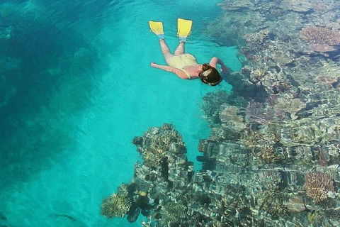 Great Barrier Reef Luxury Expedition Cruise Cabin Booking 7 Days 6 Night - Accommodation Nelson Bay 8