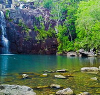 Reef Wildlife  Rainforest - Reef  Beyond Guided Holidays - Accommodation Nelson Bay