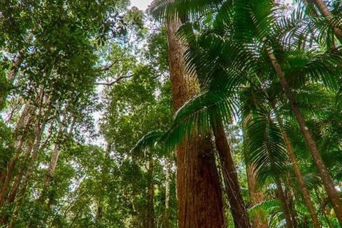 3-Day Fraser Island Hiking And 4WD Adventure From Hervey Bay - Accommodation Nelson Bay 1