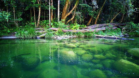 Cairns Adventure Package- 4 Tours In 3 Days! - Accommodation Nelson Bay 6