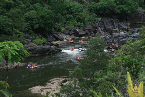 Cairns Adventure Package- 4 Tours In 3 Days! - Accommodation Nelson Bay 3