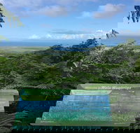 Daintree Luxury Limousine Tour - Full Day - Accommodation Nelson Bay