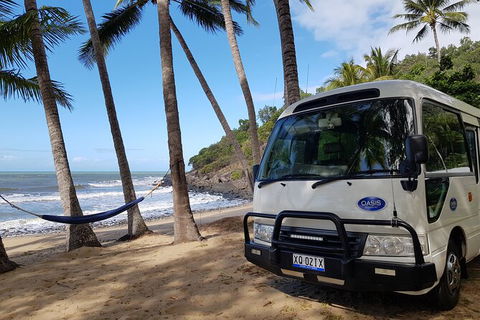 Cairns To Port Douglas Shuttle Services, 3 Times Per Day - Accommodation Nelson Bay 4