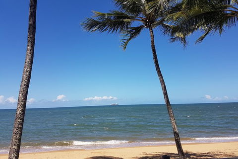 Private Transfers - Cairns Airport To Palm Cove - Accommodation Nelson Bay 8