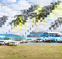 Private Transfers - Cairns Airport to Palm Cove - Accommodation Nelson Bay