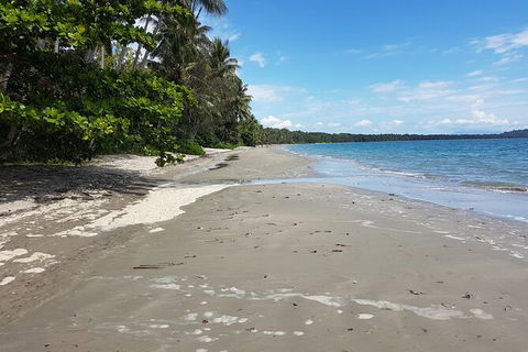Private Transfers - Cairns Airport To Palm Cove - Accommodation Nelson Bay 1