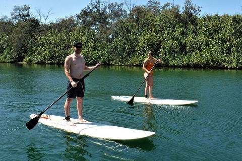 Paddle Board Hire In Surfers Paradise - Accommodation Nelson Bay 2