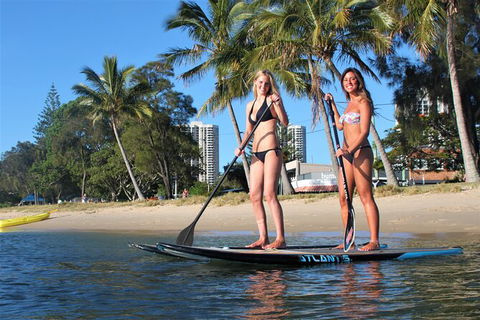 Paddle Board Hire In Surfers Paradise - Accommodation Nelson Bay 1