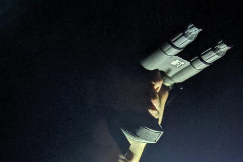 Nature By Night - Accommodation Nelson Bay 3