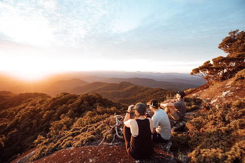 Cairns Rainforest Hiking Experience Incredible Mountains Remote Waterfall - Accommodation Nelson Bay 6