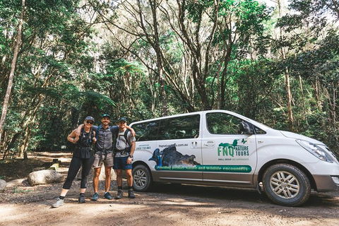 Cairns Rainforest Hiking Experience Incredible Mountains Remote Waterfall - Accommodation Nelson Bay 5
