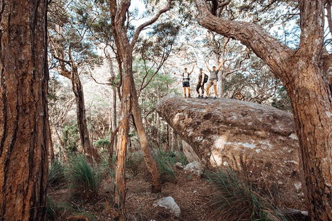 Cairns Rainforest Hiking Experience Incredible Mountains Remote Waterfall - Accommodation Nelson Bay 3