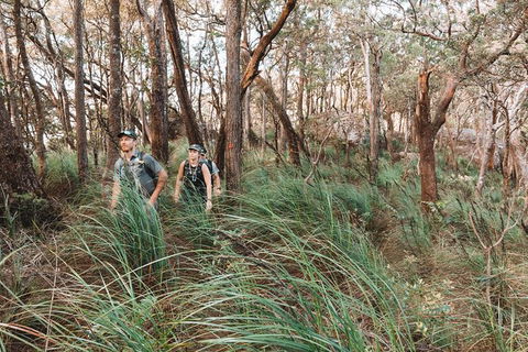 Cairns Rainforest Hiking Experience Incredible Mountains Remote Waterfall - Accommodation Nelson Bay 8